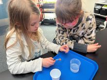 2nd Grade inquirers exploring surface tension 