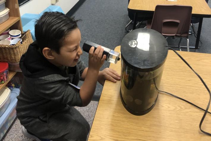 Observation and Exploration