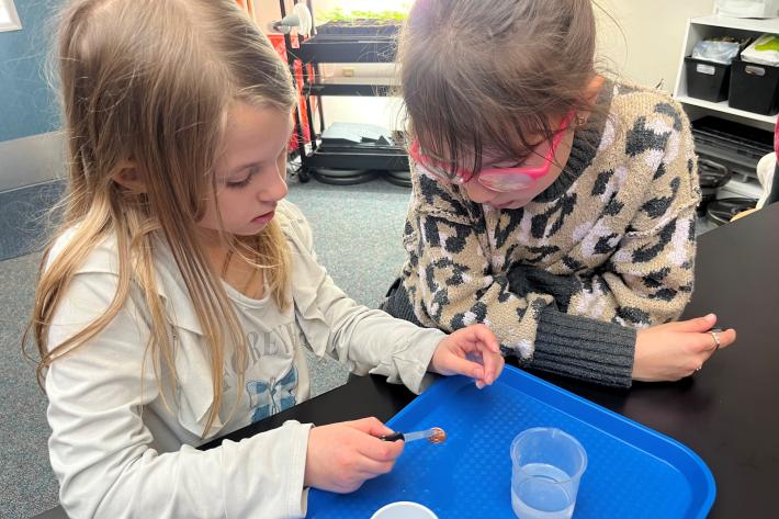 2nd Grade inquirers exploring surface tension 