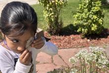 Inquiry drives student learning